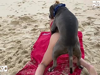 Dog Girl X challenge xvideos 269