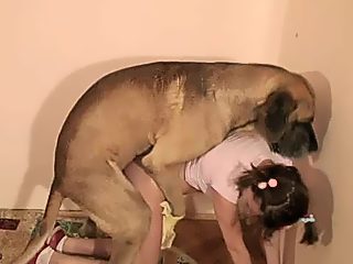 Dog Girl X challenge fast 87