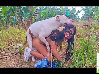 Dog Girl X highlight edition 248